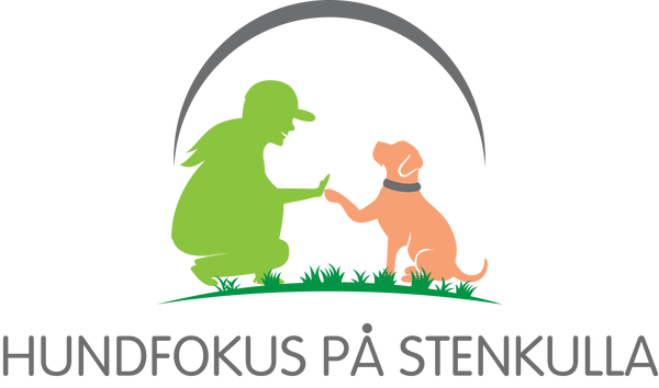 Hundfokus på stenkulla